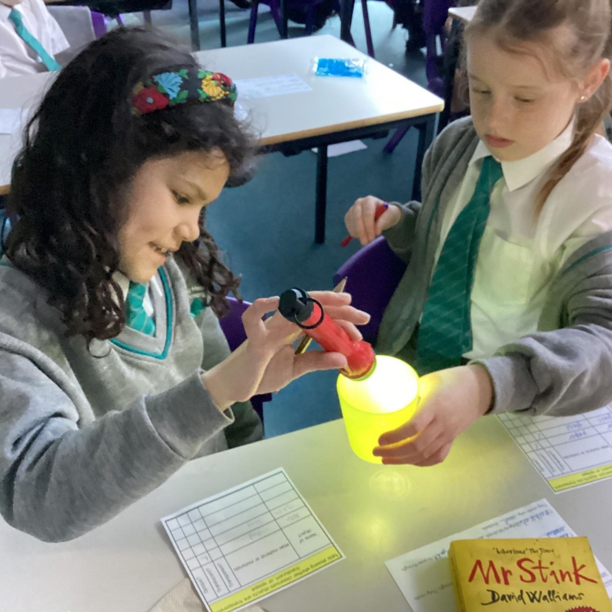 Morley Meadow Primary School - Science Week 2024